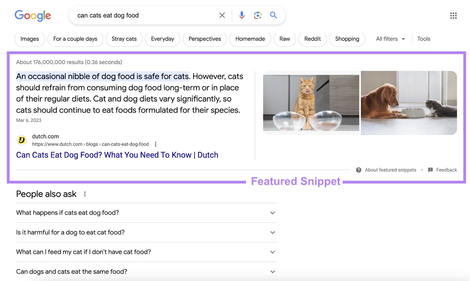A featured snippet result on Google SERP for "can cats eat dog food" query
