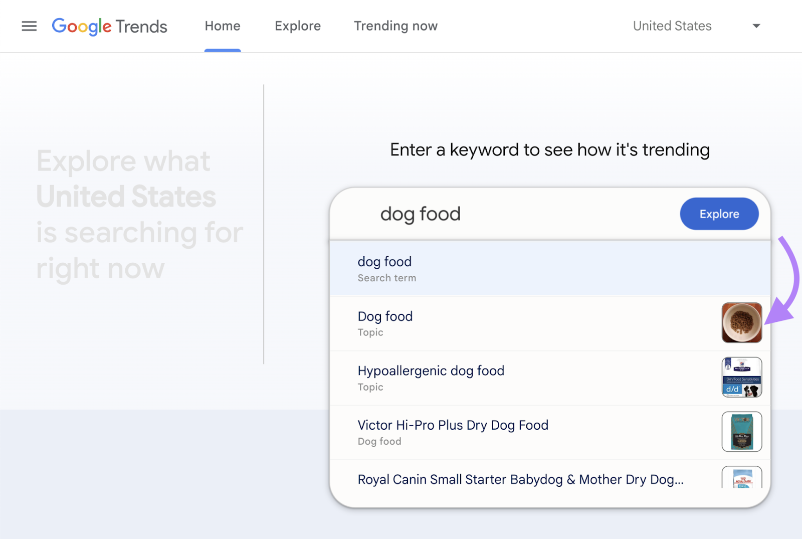 Searching for "dog food" keyword over the past 30 days in Google Trends